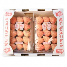 【鮮果日誌】日本空運 稀少品種白色草莓 淡雪(2入裝)