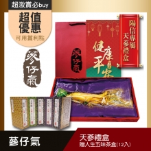 蔘仔氣-天蔘禮盒10盒組 贈人生五味茶盒(12入)10盒